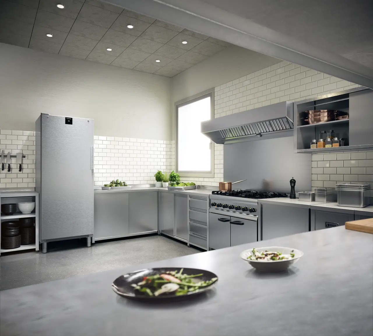 FFFCvg 6501 Perfection Freestanding freezer with NoFrost - Liebherr